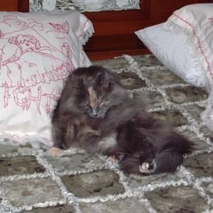 Meet your Posher, Debbie